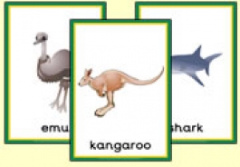 Australian Animal Themed Resources