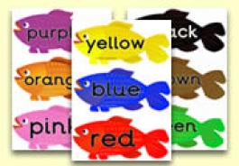 Common Colour Words Resources