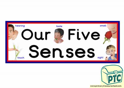 'Our Five Senses' Display Heading/ Classroom Banner