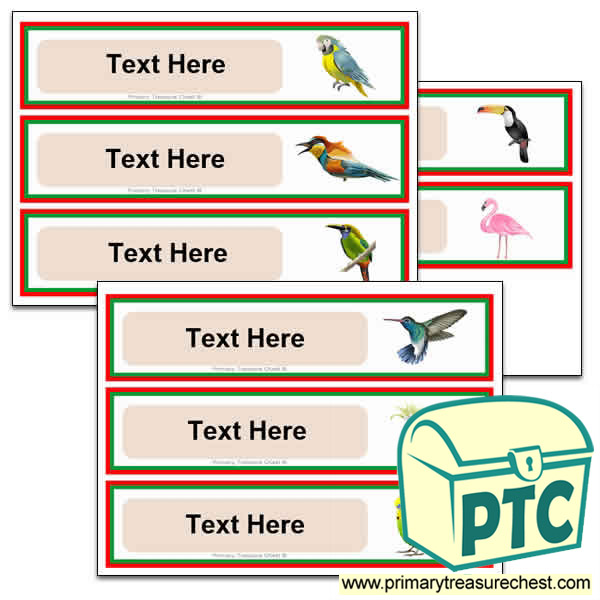 Tropical Birds Pupil Drawer Labels (Large)