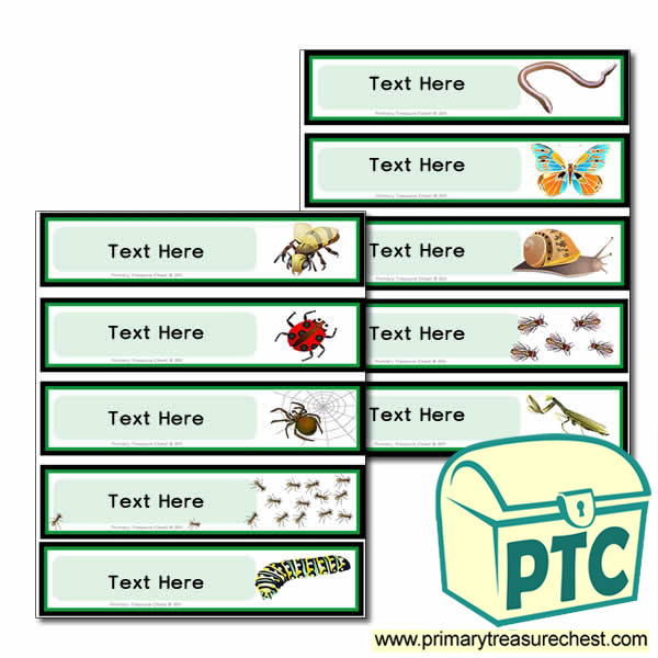Various Minibeast Themed Pupil Drawer Labels (Small)