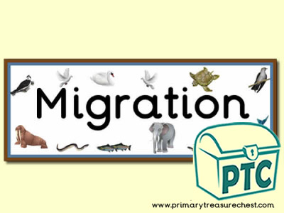 'Migration' Display Heading/ Classroom Banner