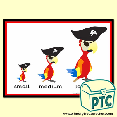 Pirate Themed Sizes Poster