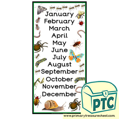 Minibeasts Themed Months of the Year Poster