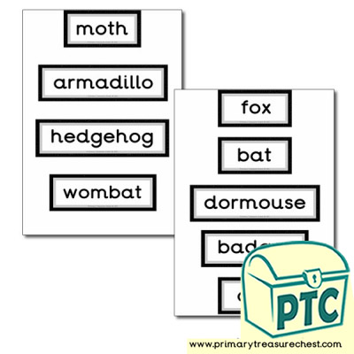 Nocturnal Animal Themed Display Words