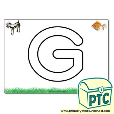 'G' Uppercase Bubble Letter A4 poster with high quality realistic images