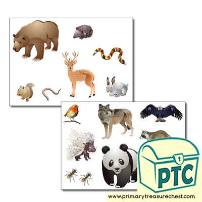 Forest and Wood Themed Animal Storyboard / Cut & Stick Images