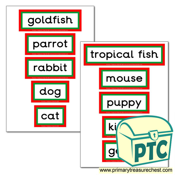 Pet Animals Themed Display Words