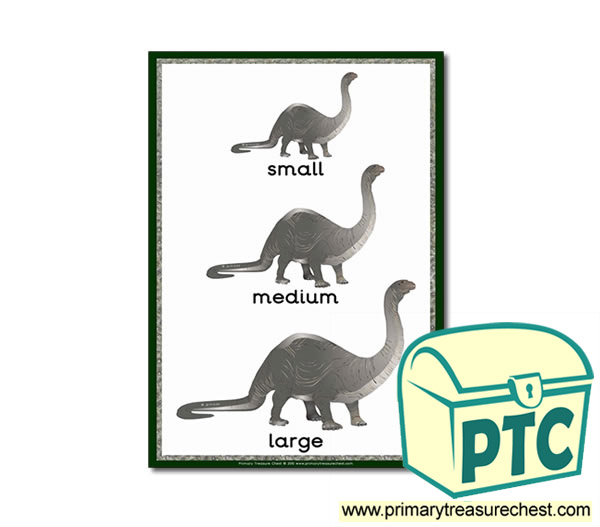Dinosaur Themed Sizes Poster