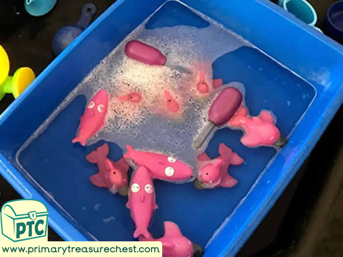 Pirate Shark themed water play colour sorting