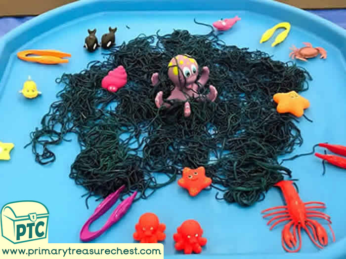 Under the sea Discovery Role Play Sensory Play - Spot Tray - Tuff Tray Ideas Early Years / Nursery / Primary 