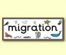 Animal Migration Resources