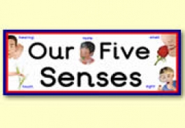 Senses Themed Resources