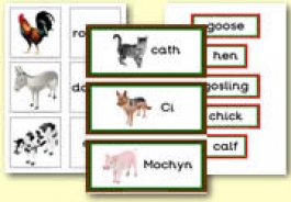 Animal Themed Teaching Resources