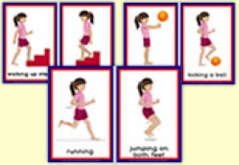 Gross Motor / Fine Motor Activities / P.E. Resources