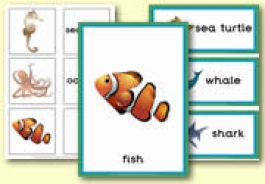 More Sea Life Resources