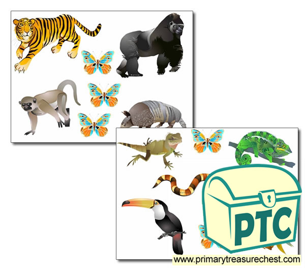 Jungle Animals Storyboard / Cut & Stick Images