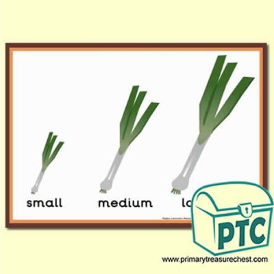 Leek Themed Different Sizes Poster