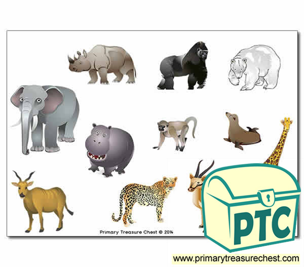 Zoo Animal Storyboard / Cut & Stick Images
