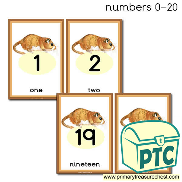 Dormouse Themed 0 to 20 Number Line