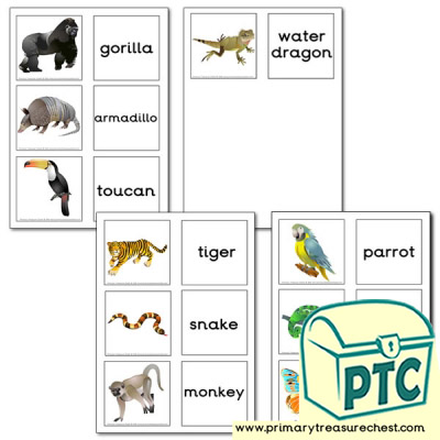 Jungle Animal Themed Matching Cards
