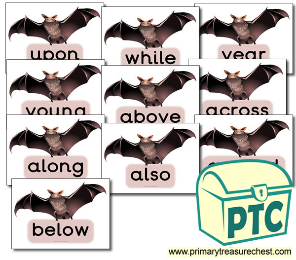 Bat Themed Year 4 MF Words- (group 7)