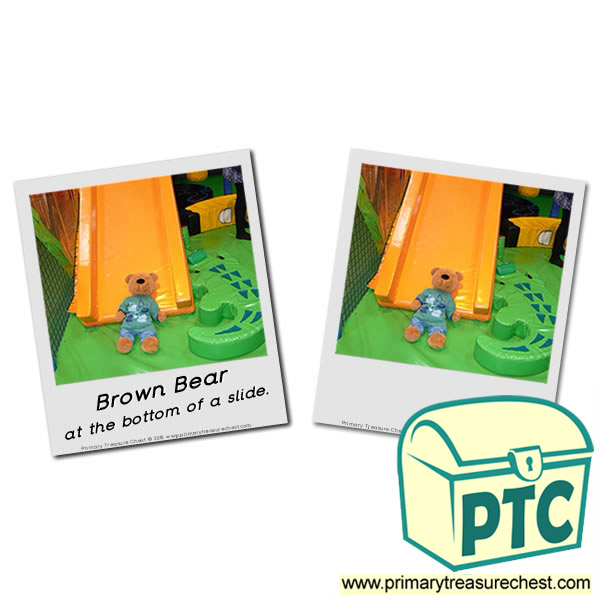 Photographs of Brown Bear on the bottom of a slide.