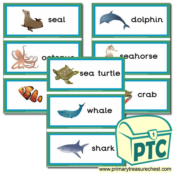 Sea Life Themed Flashcards