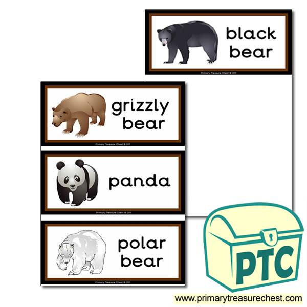 Bear Flashcards