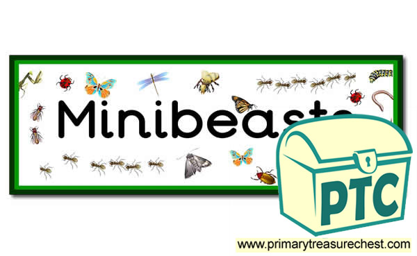'Minibeasts' Display Heading /  Classroom Banner