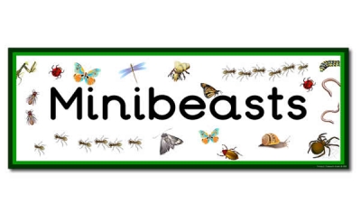 'Minibeasts' Display Heading /  Classroom Banner