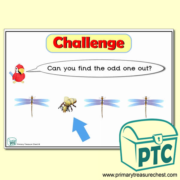 Insects themed Odd-One-Out Challenge A4 Poster