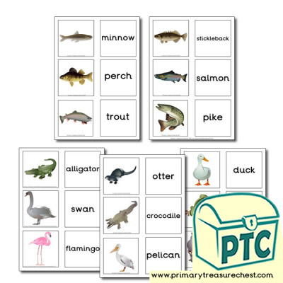 River and Lake Animal Themed Matching Cards