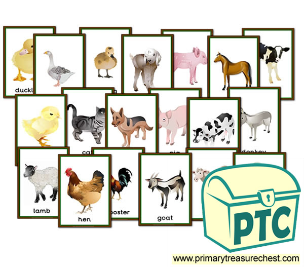Farm Animals themed Posters