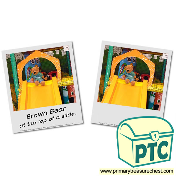 Brown Bear on Top of a Slide