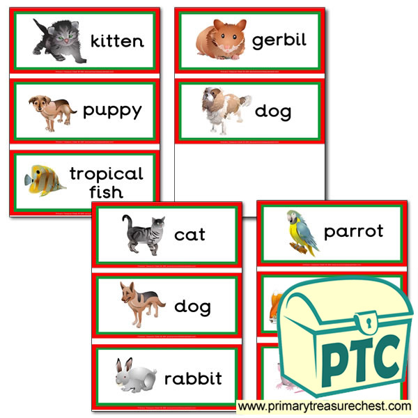 Pet Animals Themed Flashcards