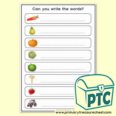 Thanksgiving Topic Words Worksheet - No Letters